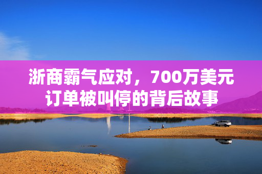 浙商霸气应对，700万美元订单被叫停的背后故事