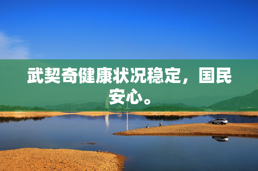 武契奇健康状况稳定，国民安心。
