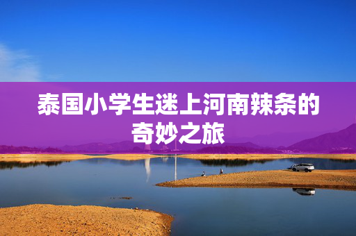 泰国小学生迷上河南辣条的奇妙之旅