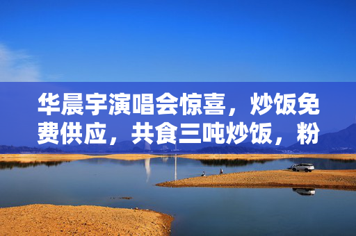华晨宇演唱会惊喜，炒饭免费供应，共食三吨炒饭，粉丝狂欢共享美食