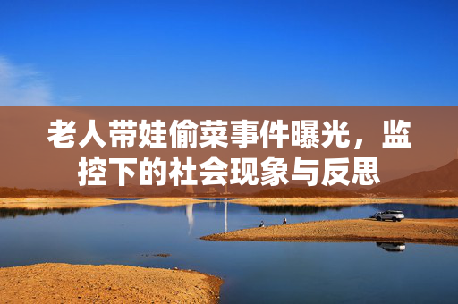 老人带娃偷菜事件曝光，监控下的社会现象与反思