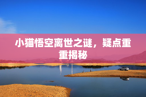 小猫悟空离世之谜，疑点重重揭秘
