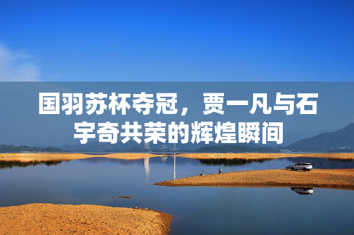 国羽苏杯夺冠，贾一凡与石宇奇共荣的辉煌瞬间