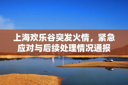 上海欢乐谷突发火情，紧急应对与后续处理情况通报