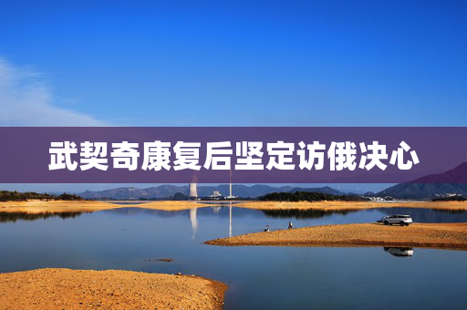 武契奇康复后坚定访俄决心