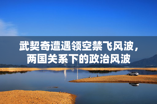 武契奇遭遇领空禁飞风波，两国关系下的政治风波