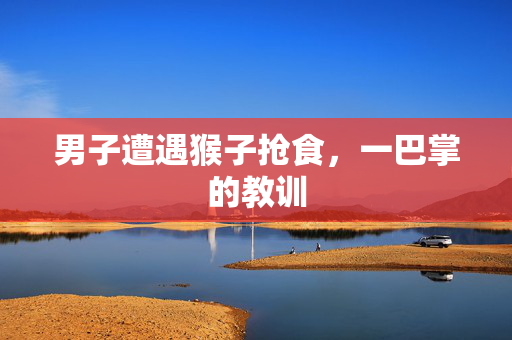 男子遭遇猴子抢食，一巴掌的教训