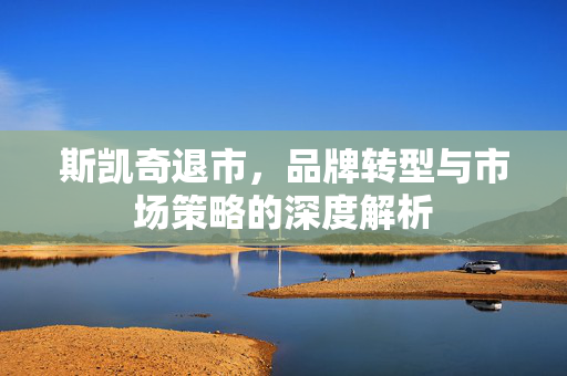 斯凯奇退市，品牌转型与市场策略的深度解析