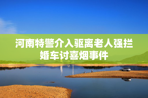 河南特警介入驱离老人强拦婚车讨喜烟事件
