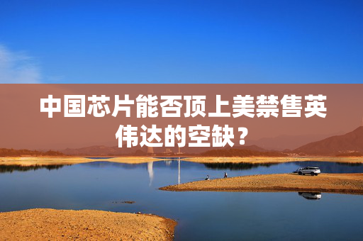 中国芯片能否顶上美禁售英伟达的空缺？
