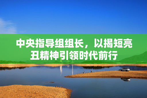 中央指导组组长，以揭短亮丑精神引领时代前行