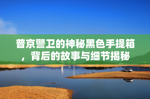 普京警卫的神秘黑色手提箱，背后的故事与细节揭秘