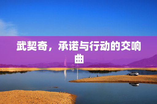 武契奇，承诺与行动的交响曲