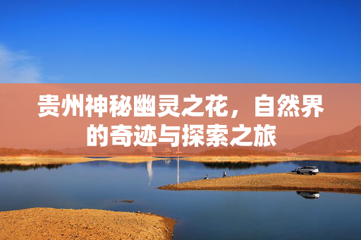 贵州神秘幽灵之花，自然界的奇迹与探索之旅