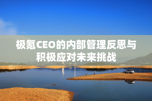 极氪CEO的内部管理反思与积极应对未来挑战