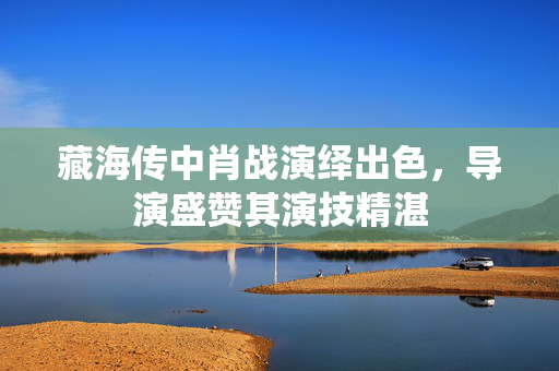 藏海传中肖战演绎出色，导演盛赞其演技精湛