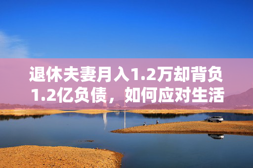 退休夫妻月入1.2万却背负1.2亿负债，如何应对生活巨大压力？