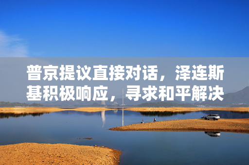 普京提议直接对话，泽连斯基积极响应，寻求和平解决方案