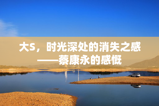 大S，时光深处的消失之感——蔡康永的感慨