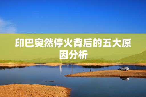 印巴突然停火背后的五大原因分析