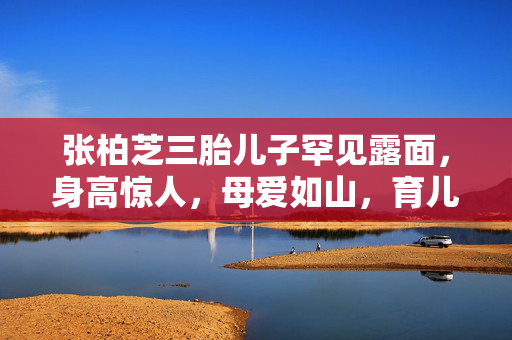 张柏芝三胎儿子罕见露面，身高惊人，母爱如山，育儿之路的艰辛与喜悦