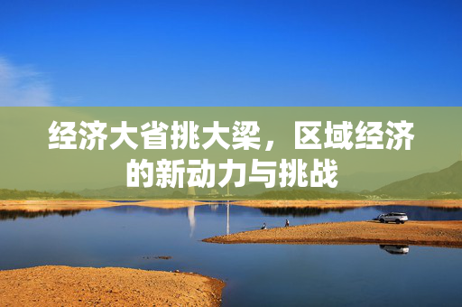 经济大省挑大梁，区域经济的新动力与挑战