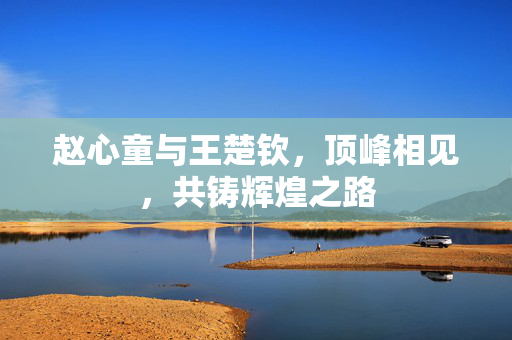 赵心童与王楚钦，顶峰相见，共铸辉煌之路