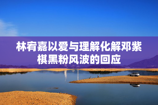 林宥嘉以爱与理解化解邓紫棋黑粉风波的回应