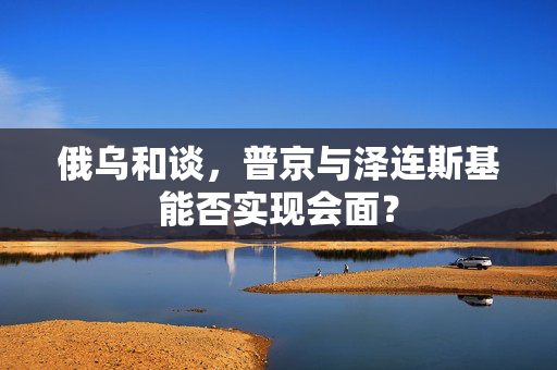 俄乌和谈，普京与泽连斯基能否实现会面？