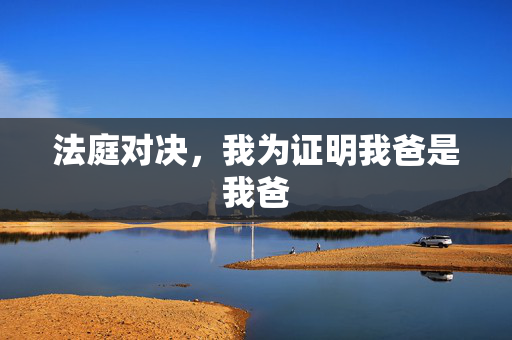 法庭对决，我为证明我爸是我爸