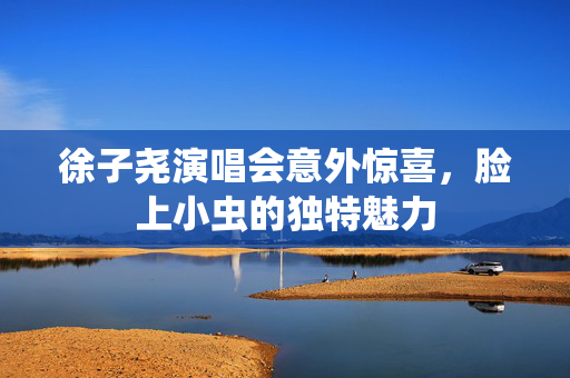 徐子尧演唱会意外惊喜，脸上小虫的独特魅力