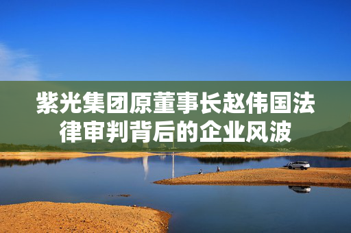 紫光集团原董事长赵伟国法律审判背后的企业风波