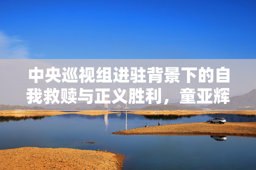 中央巡视组进驻背景下的自我救赎与正义胜利，童亚辉主动投案的启示
