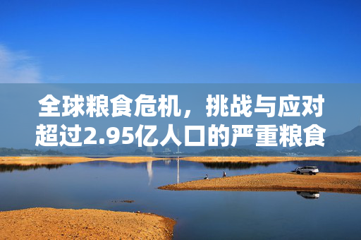 全球粮食危机，挑战与应对超过2.95亿人口的严重粮食不安全