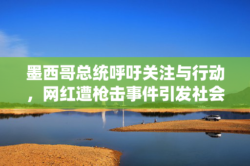 墨西哥总统呼吁关注与行动，网红遭枪击事件引发社会关注