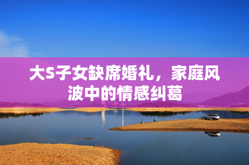 大S子女缺席婚礼，家庭风波中的情感纠葛
