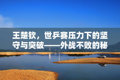 王楚钦，世乒赛压力下的坚守与突破——外战不败的秘诀