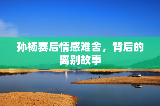 孙杨赛后情感难舍，背后的离别故事