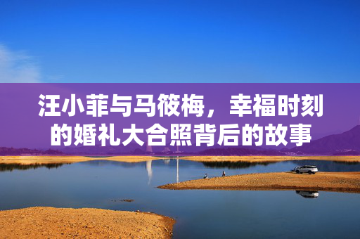 汪小菲与马筱梅，幸福时刻的婚礼大合照背后的故事