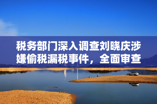 税务部门深入调查刘晓庆涉嫌偷税漏税事件，全面审查与追责的背后