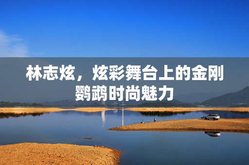 林志炫，炫彩舞台上的金刚鹦鹉时尚魅力