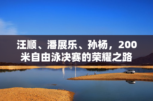汪顺、潘展乐、孙杨，200米自由泳决赛的荣耀之路