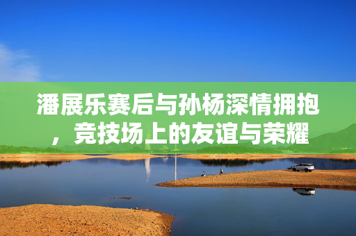 潘展乐赛后与孙杨深情拥抱，竞技场上的友谊与荣耀