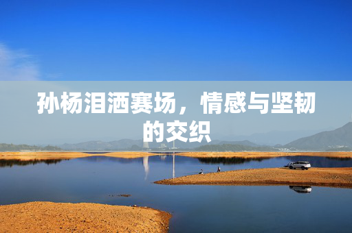 孙杨泪洒赛场，情感与坚韧的交织