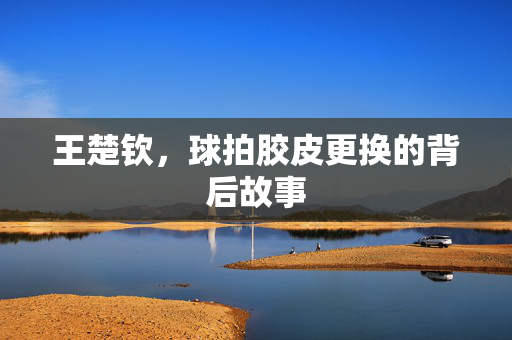 王楚钦，球拍胶皮更换的背后故事