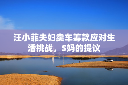 汪小菲夫妇卖车筹款应对生活挑战，S妈的提议