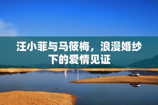 汪小菲与马筱梅，浪漫婚纱下的爱情见证