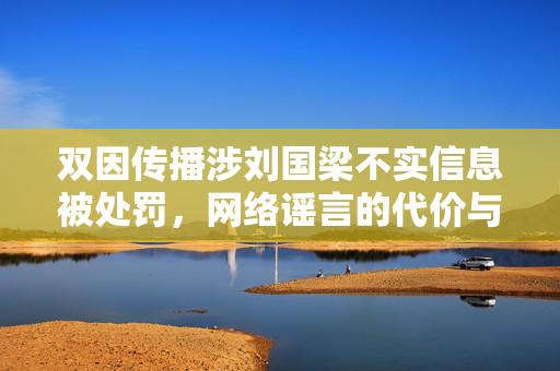 双因传播涉刘国梁不实信息被处罚，网络谣言的代价与警示