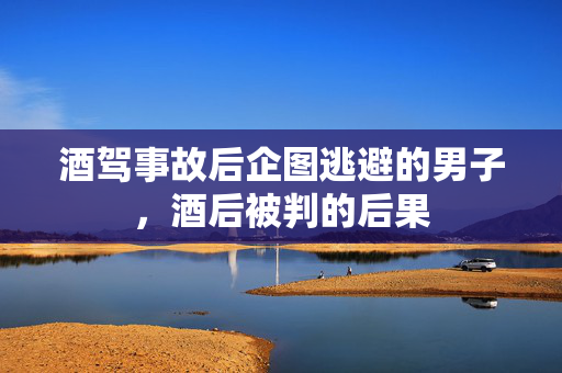 酒驾事故后企图逃避的男子，酒后被判的后果