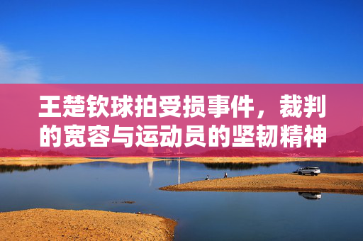 王楚钦球拍受损事件，裁判的宽容与运动员的坚韧精神展现